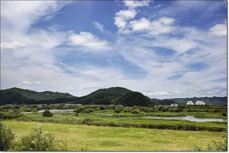 한버들 사짜신매 월척달천강 월척 (조황조행기 - 특파원조황)