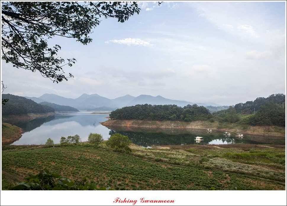 대류 한버들화곡지 조황 (조황조행기 - 특파원조황)