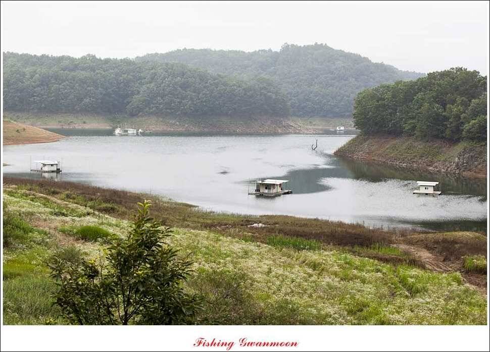 한버들 호조황화곡지 조황 (조황조행기 - 특파원조황)