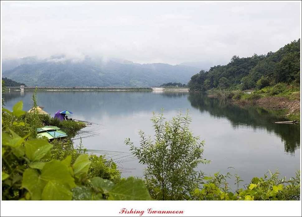 대류 한버들 사짜추평지 사짜 (조황조행기 - 특파원조황)