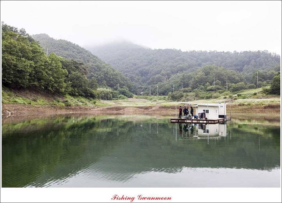 한버들 호조황화곡지 조황 (조황조행기 - 특파원조황)