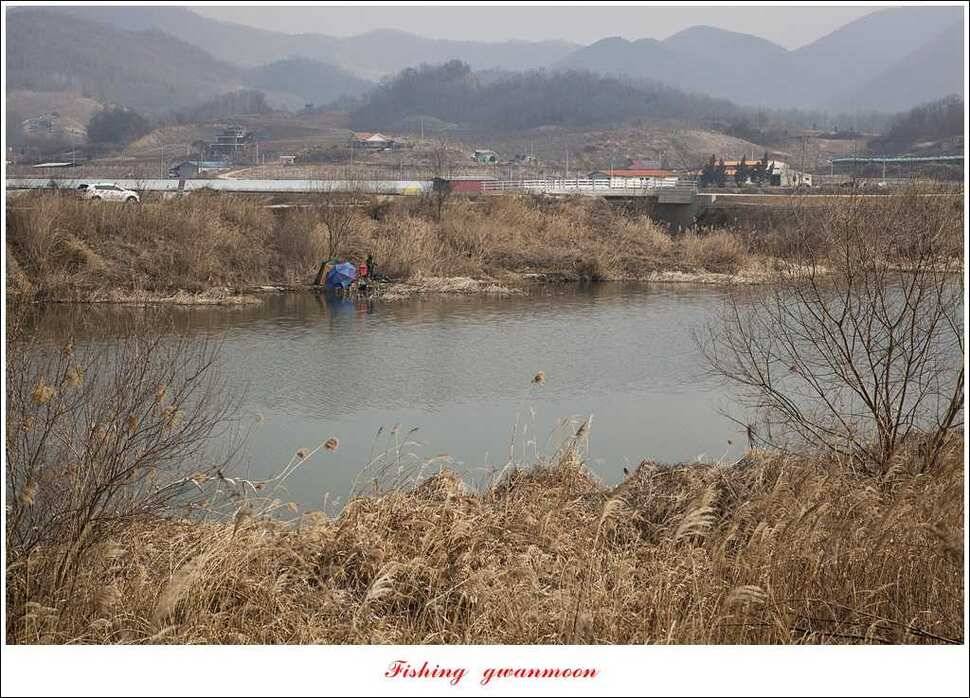 충주괴산권 현황 (조황조행기 - 특파원조황)