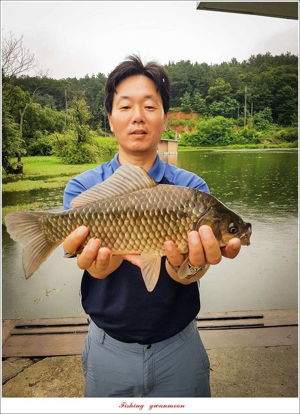 화곡지실리곡 오짜 조황 (조황조행기 - 특파원조황)