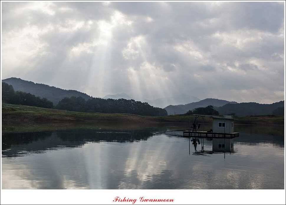 대류 한버들화곡지 조황 (조황조행기 - 특파원조황)