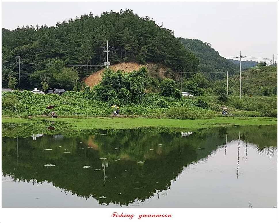 화곡지실리곡 오짜 조황 (조황조행기 - 특파원조황)