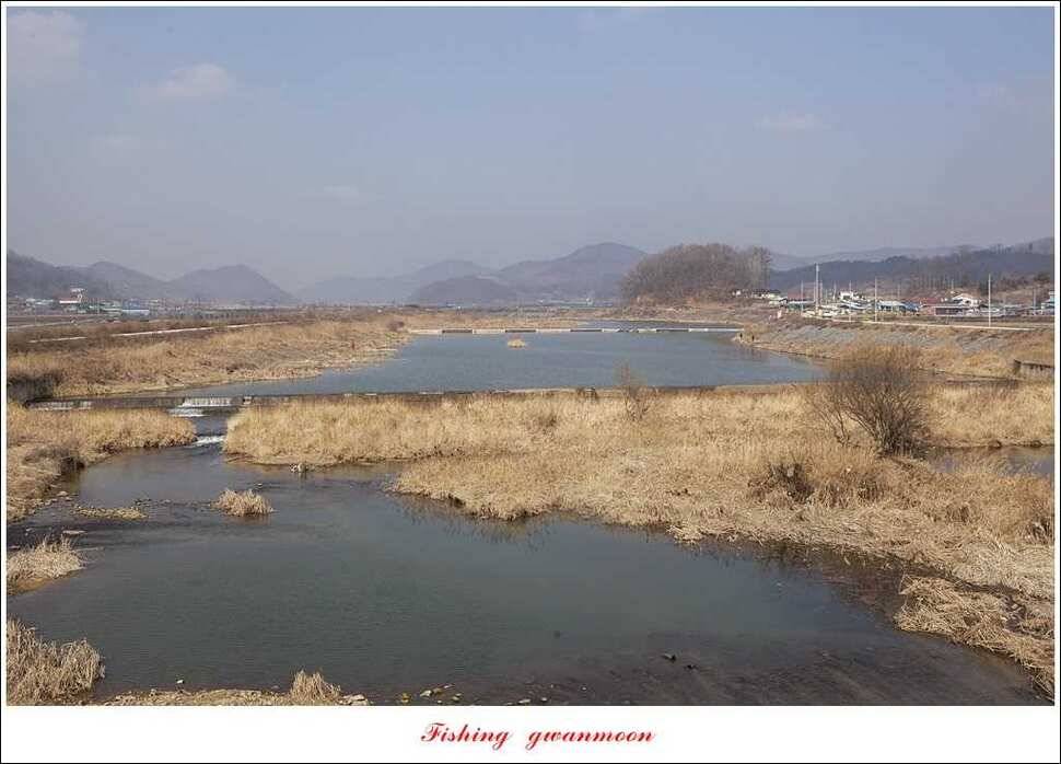 충주괴산권 현황 (조황조행기 - 특파원조황)