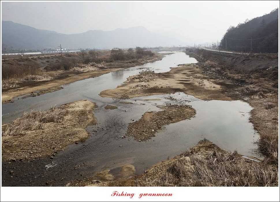 충주괴산권 현황 (조황조행기 - 특파원조황)