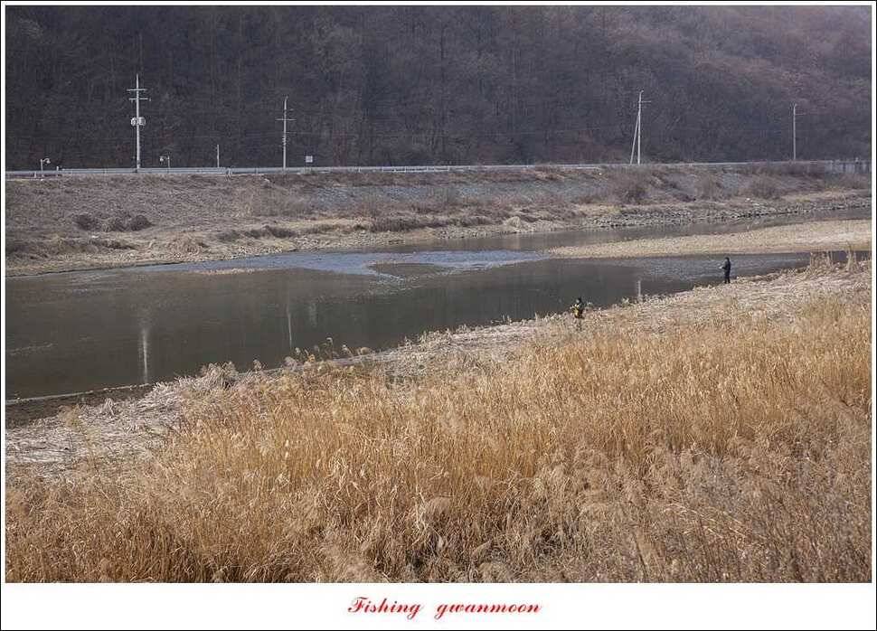 충주괴산권 현황 (조황조행기 - 특파원조황)