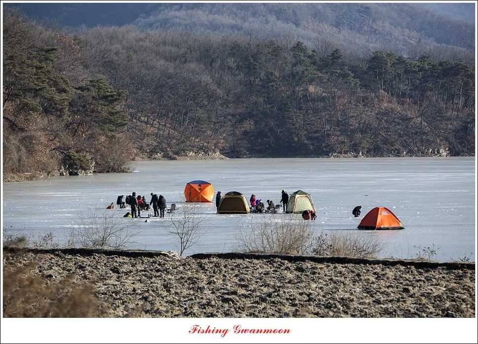 충주권빙어조황 (조황조행기 - 특파원조황)