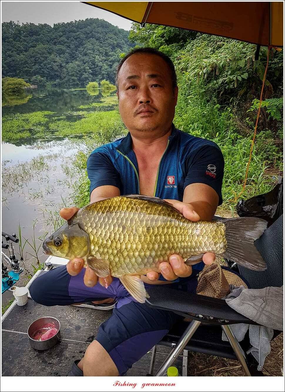 화곡지실리곡 오짜 조황 (조황조행기 - 특파원조황)
