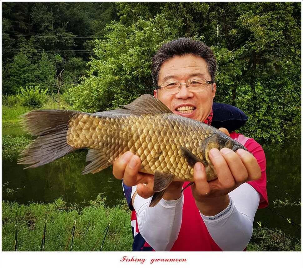 화곡지실리곡 오짜 조황 (조황조행기 - 특파원조황)