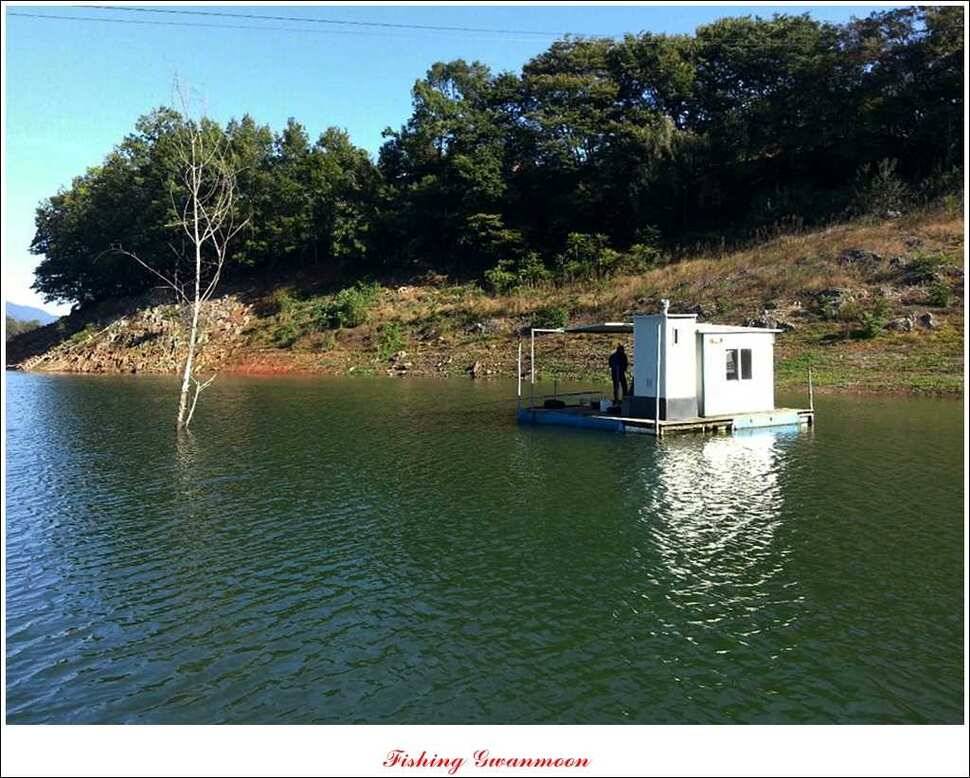실리곡 돌감제일 낚시터 조황 (조황조행기 - 특파원조황)