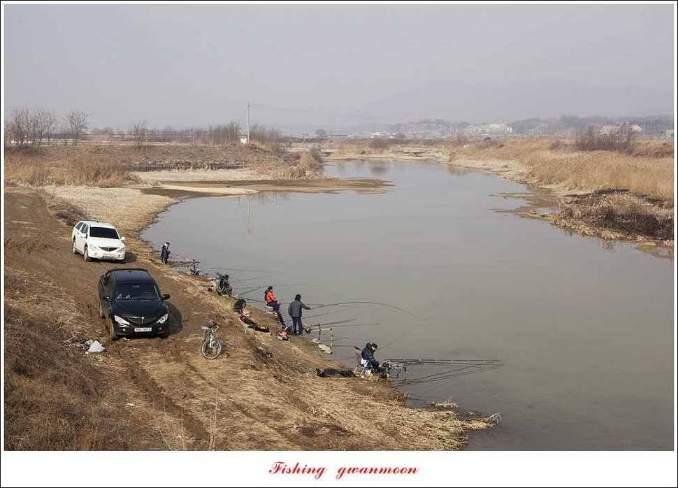 충주괴산권 현황 (조황조행기 - 특파원조황)