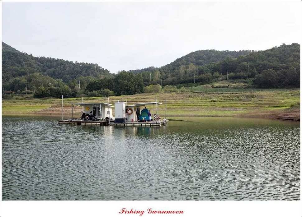 한버들돌감실리곡화곡지노지 조황 (조황조행기 - 특파원조황)