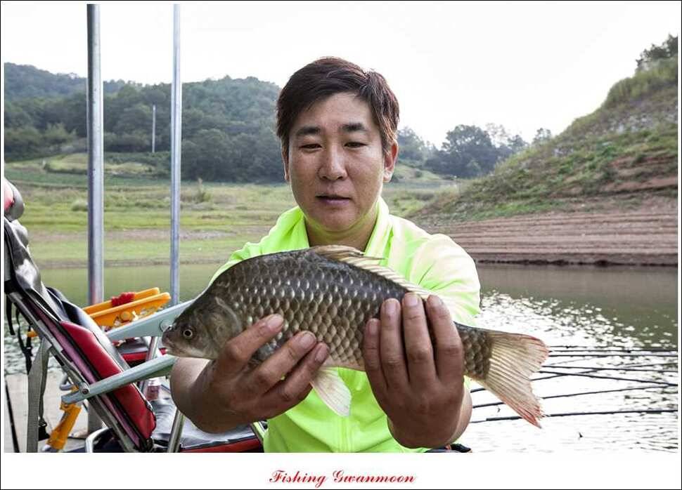 한버들돌감실리곡화곡지노지 조황 (조황조행기 - 특파원조황)