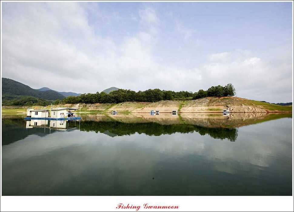 연론리 돌감짱가네대류 한버들 조황 (조황조행기 - 특파원조황)