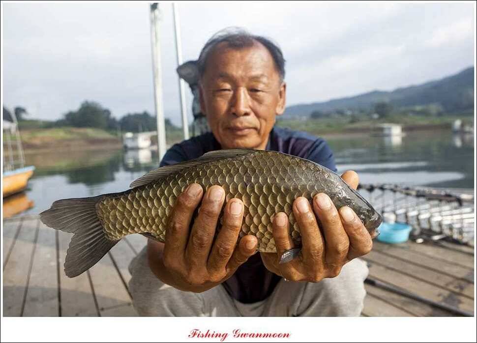 대류 한버들화곡지 조황 (조황조행기 - 특파원조황)
