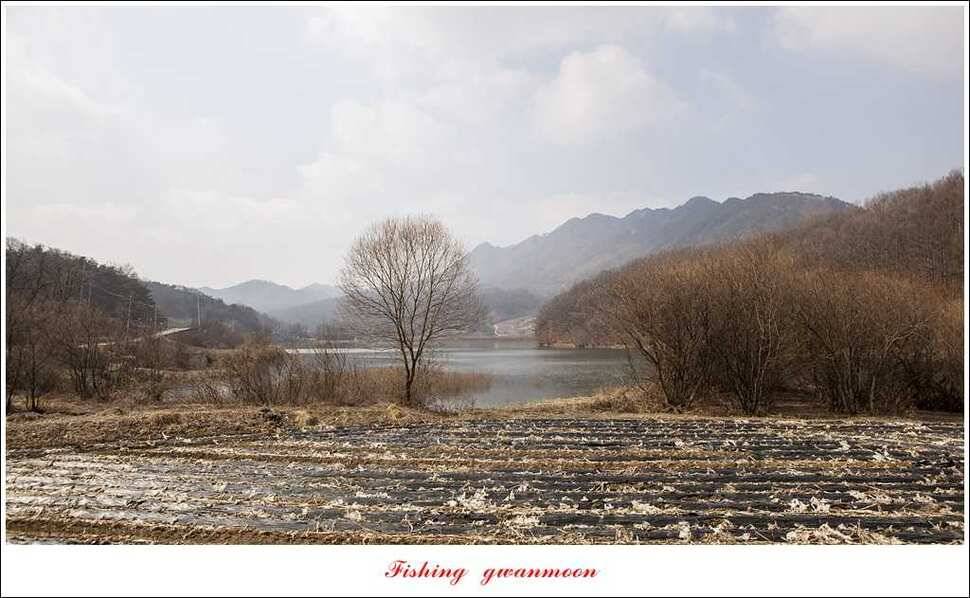 충주괴산권 현황 (조황조행기 - 특파원조황)