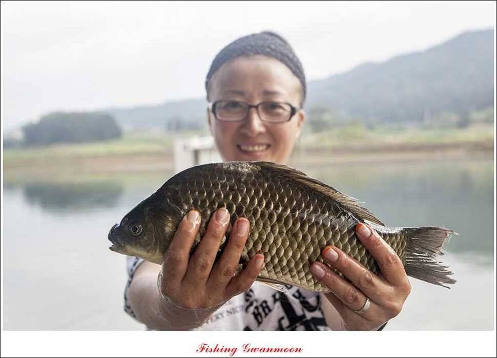 대류 한버들화곡지 조황 (조황조행기 - 특파원조황)