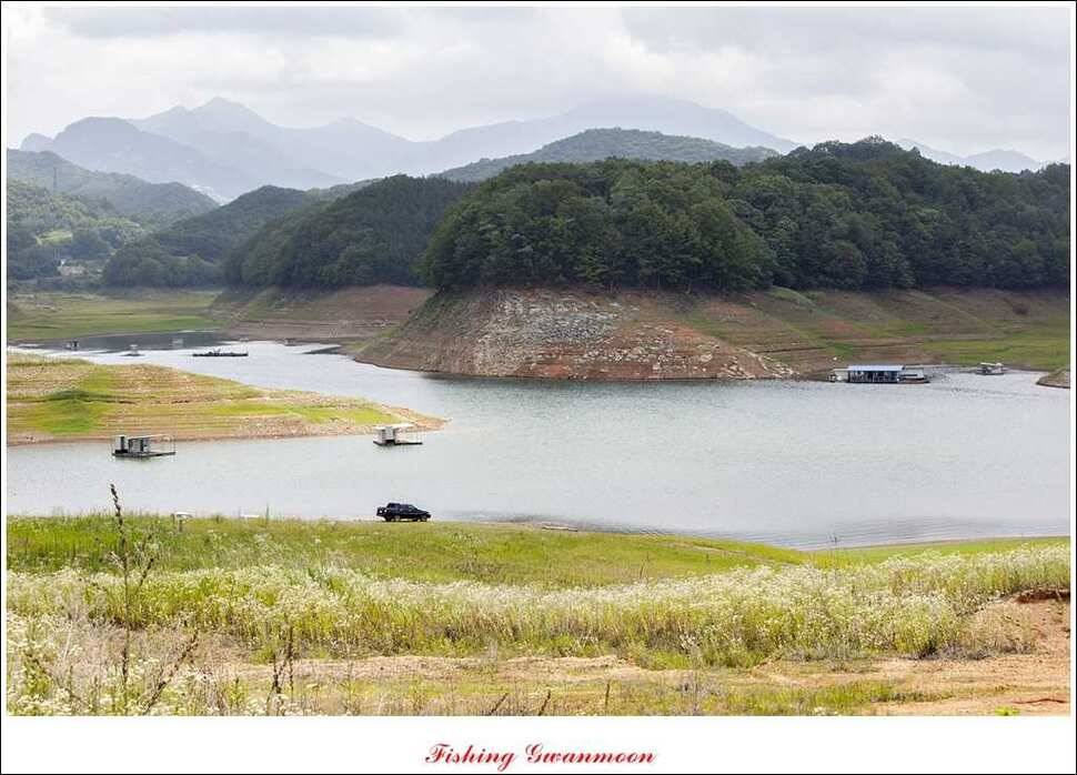 연론리 돌감짱가네대류 한버들 조황 (조황조행기 - 특파원조황)