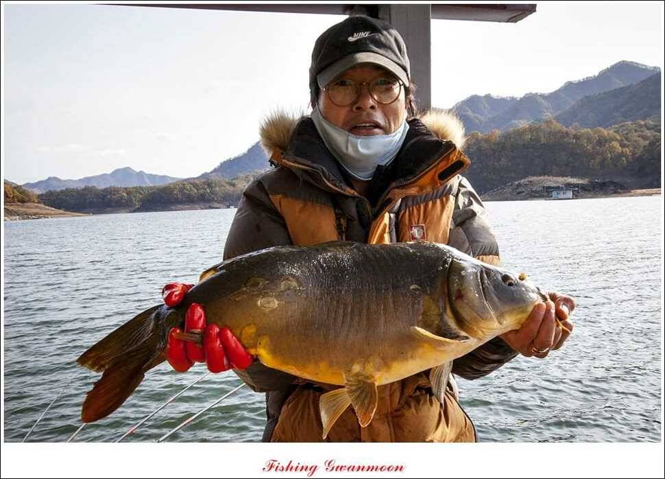 충주호 11 월 첫주 주말 조황 (조황조행기 - 특파원조황)