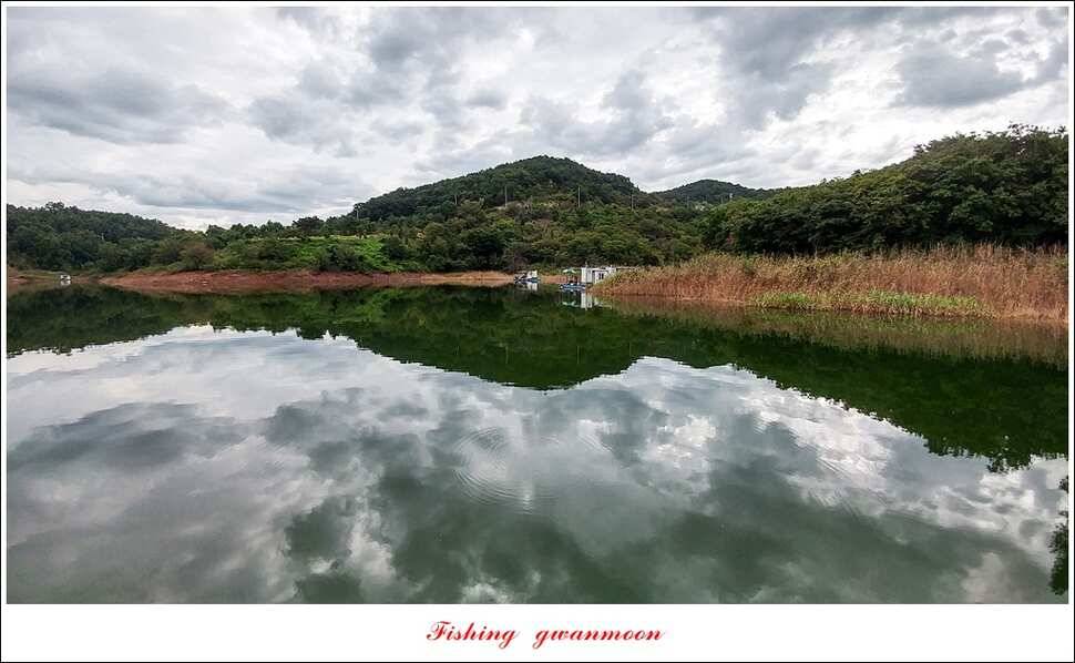 돌감늘푸른달천강 조황 및 소류지 사짜 (조황조행기 - 특파원조황)