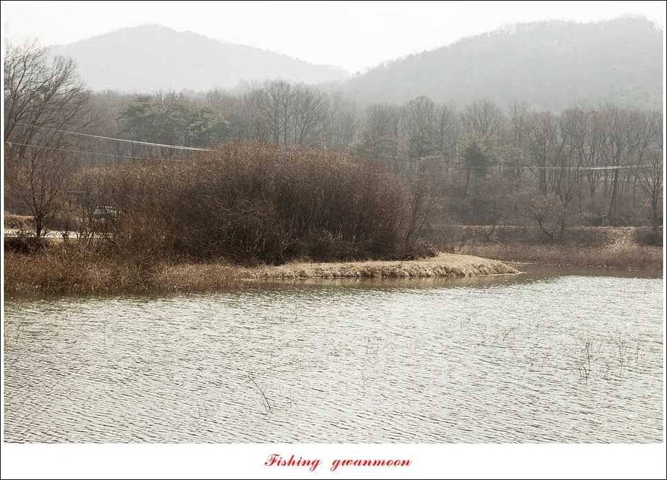 충주괴산권 현황 (조황조행기 - 특파원조황)