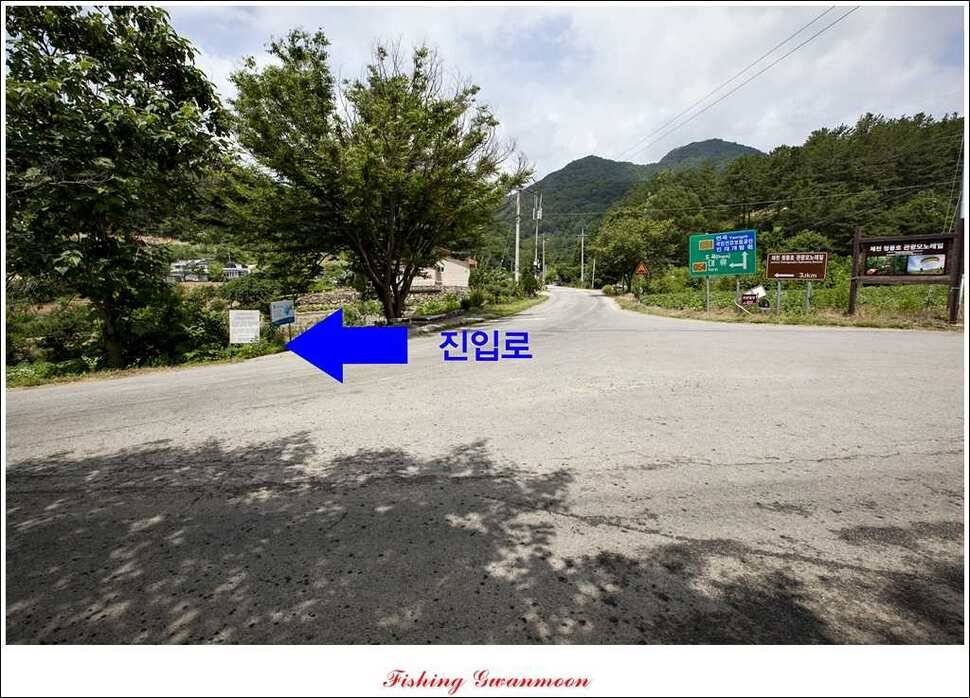연론리 돌감짱가네대류 한버들 조황 (조황조행기 - 특파원조황)