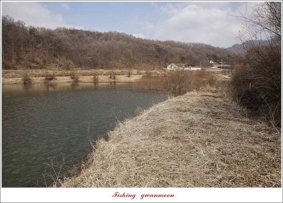 충주괴산권 현황 (조황조행기 - 특파원조황)