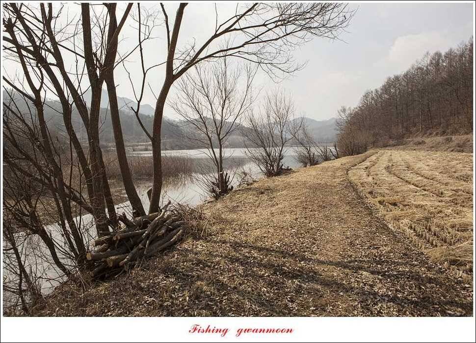 충주괴산권 현황 (조황조행기 - 특파원조황)
