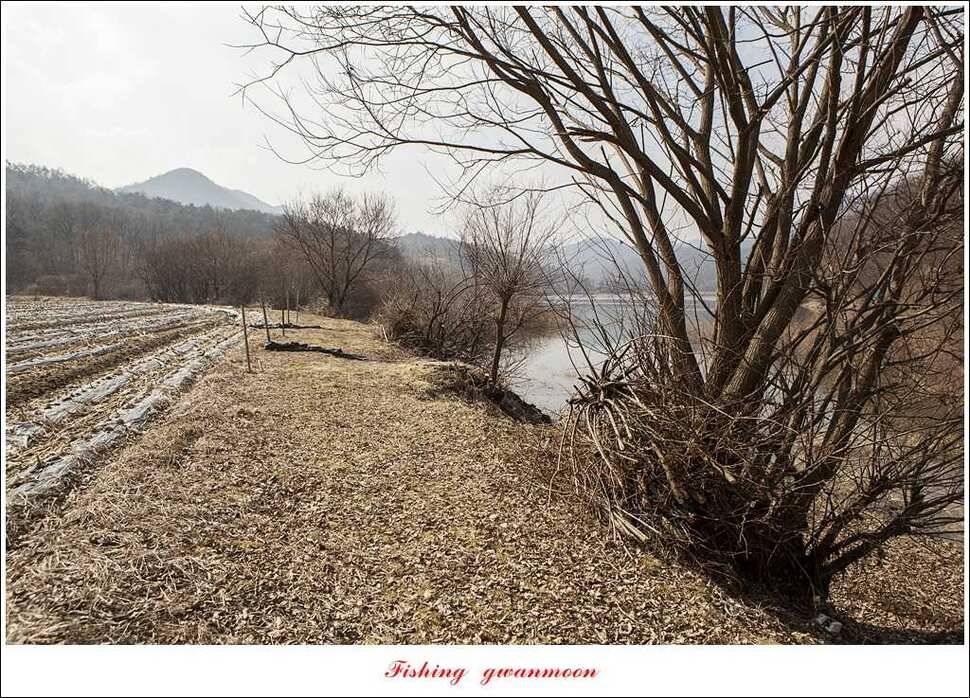 충주괴산권 현황 (조황조행기 - 특파원조황)