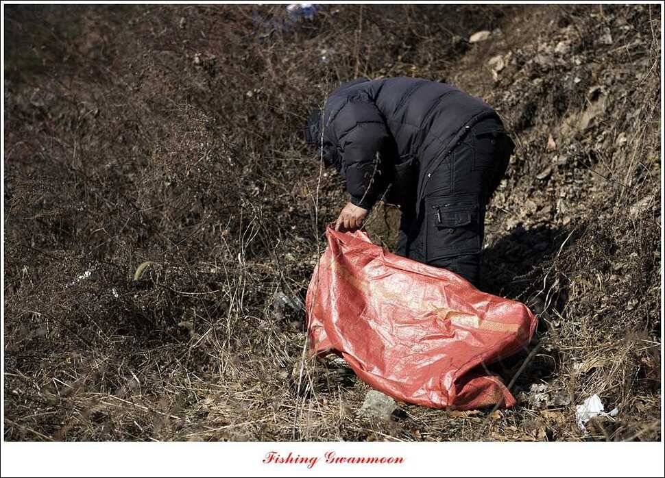 충주권빙어조황 (조황조행기 - 특파원조황)