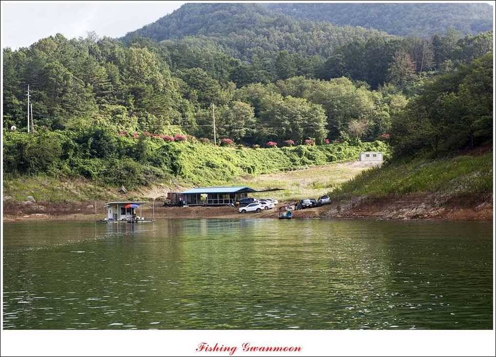 대류 한버들화곡지 조황 (조황조행기 - 특파원조황)