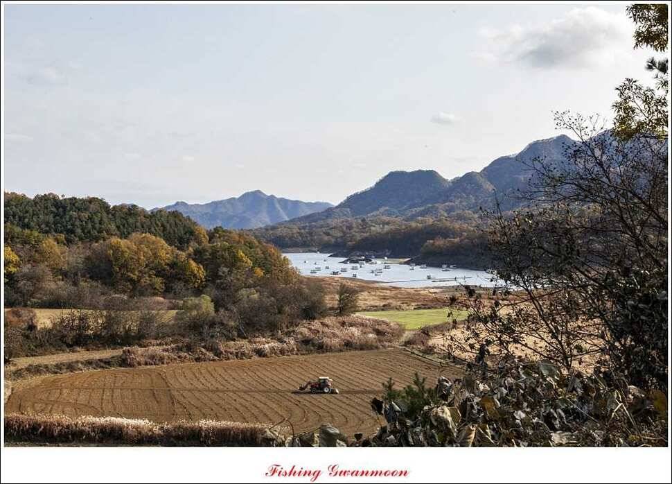 충주호 11 월 첫주 주말 조황 (조황조행기 - 특파원조황)