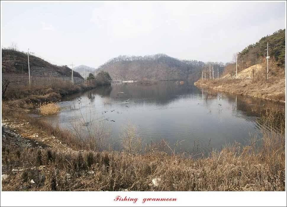 충주괴산권 현황 (조황조행기 - 특파원조황)