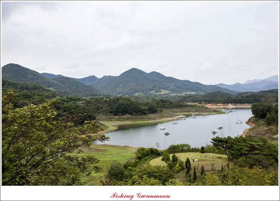 한버들돌감실리곡화곡지노지 조황 (조황조행기 - 특파원조황)