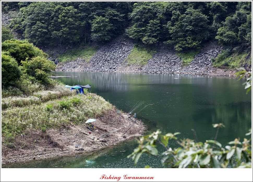 대류 한버들화곡지 조황 (조황조행기 - 특파원조황)