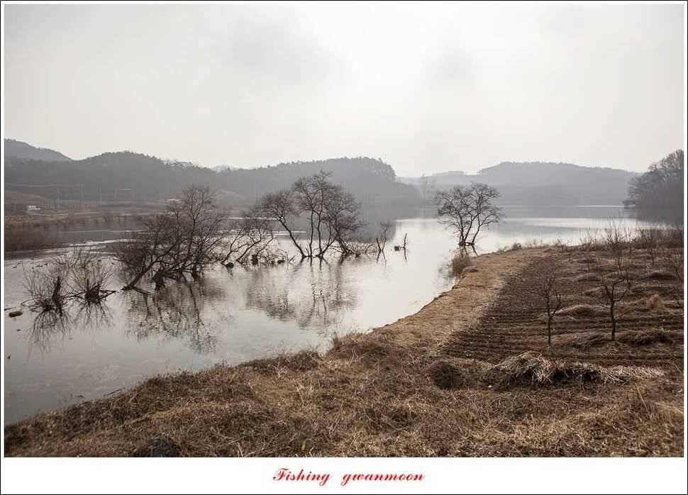 충주괴산권 현황 (조황조행기 - 특파원조황)