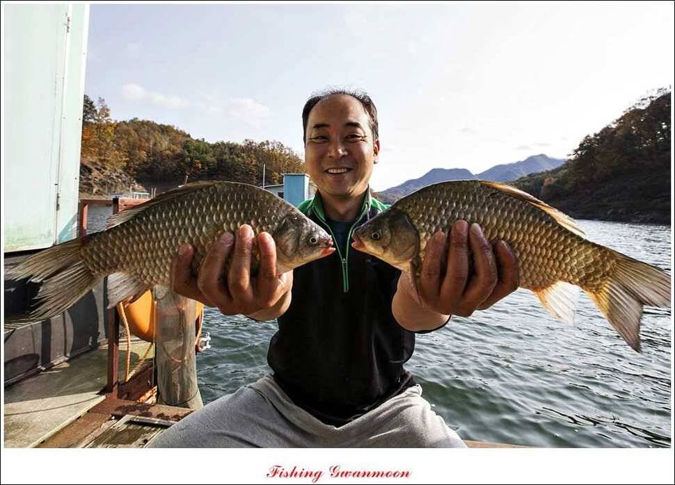 충주호 11 월 첫주 주말 조황 (조황조행기 - 특파원조황)