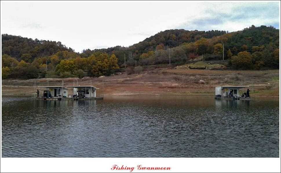 충주호 11 월 첫주 주말 조황 (조황조행기 - 특파원조황)