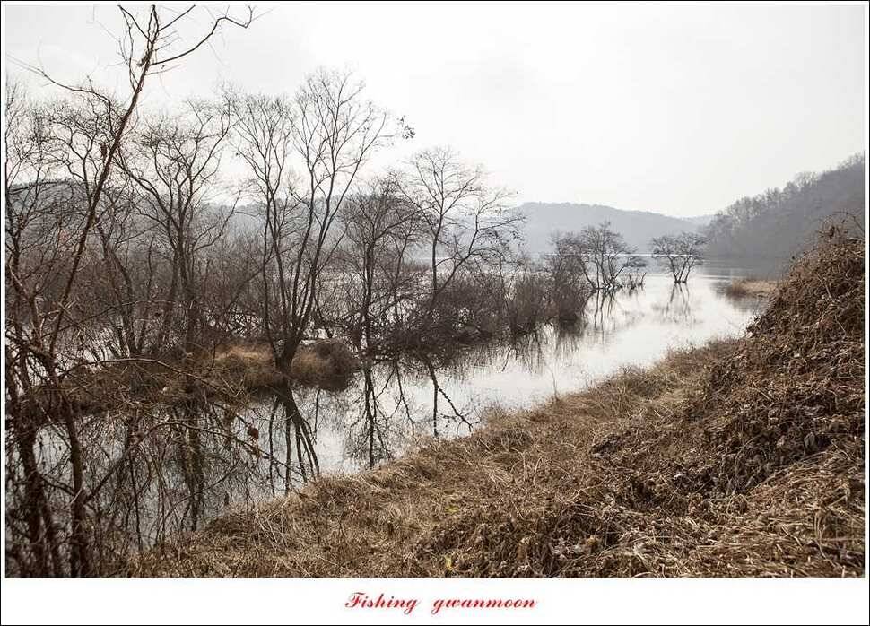 충주괴산권 현황 (조황조행기 - 특파원조황)