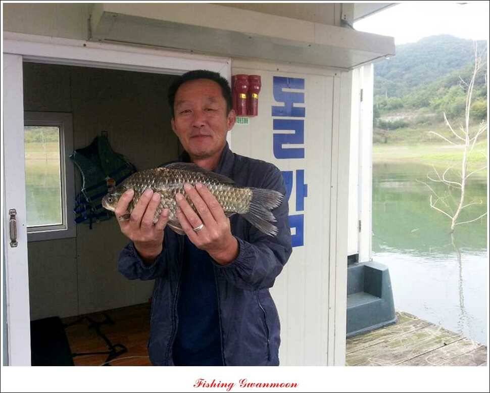 한버들돌감실리곡화곡지노지 조황 (조황조행기 - 특파원조황)