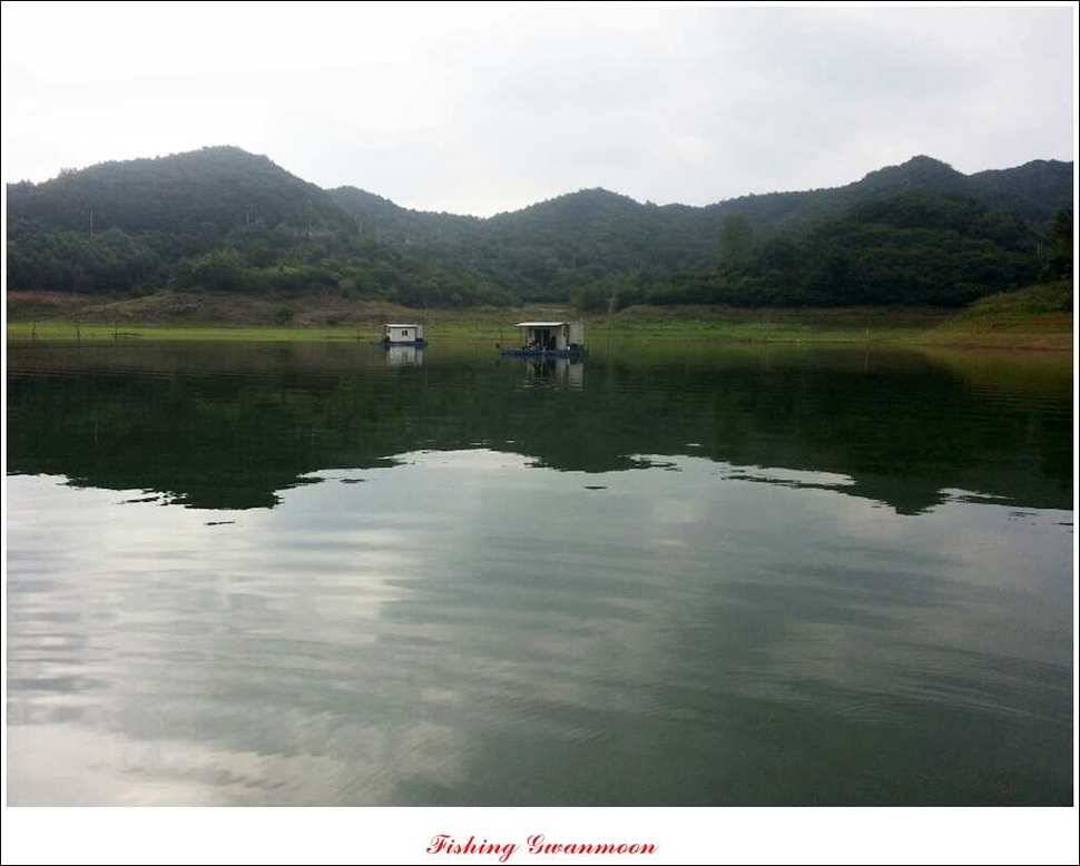 한버들돌감실리곡화곡지노지 조황 (조황조행기 - 특파원조황)