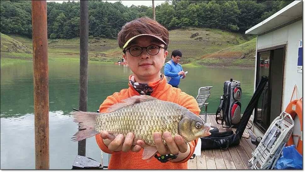늘푸른 41 cm한버들 43 cm42cm돌감월척 (조황조행기 - 특파원조황)