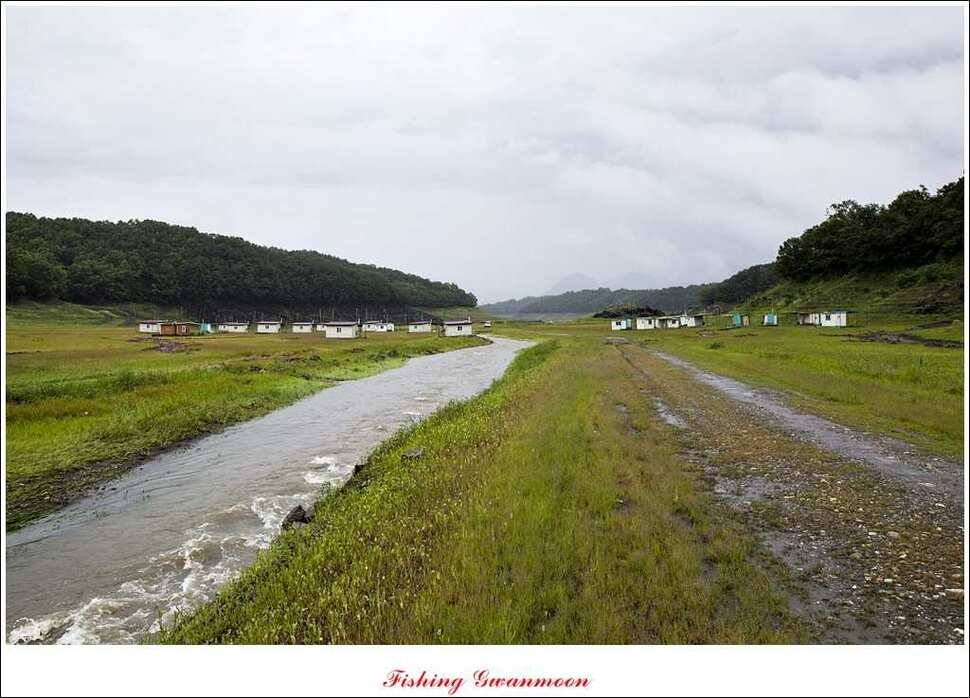 충주호 오름수위화곡지 조황 (조황조행기 - 특파원조황)