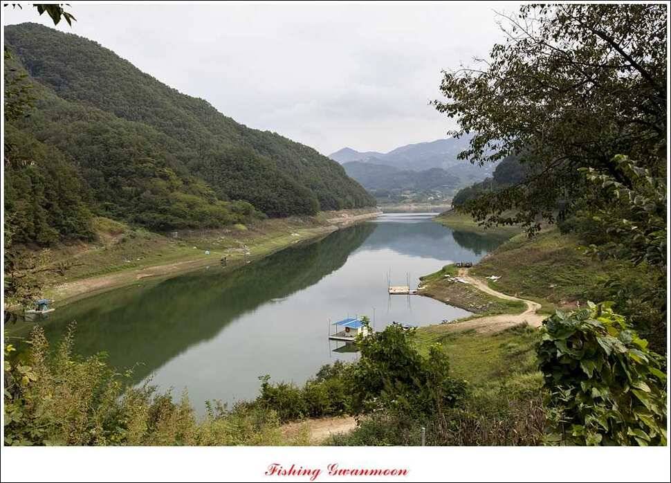 한버들돌감실리곡화곡지노지 조황 (조황조행기 - 특파원조황)