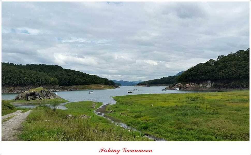 한버들 마릿수 월척윤병호 낚시터 조황 (조황조행기 - 특파원조황)