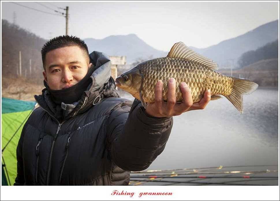 충주괴산권 조황 (조황조행기 - 특파원조황)