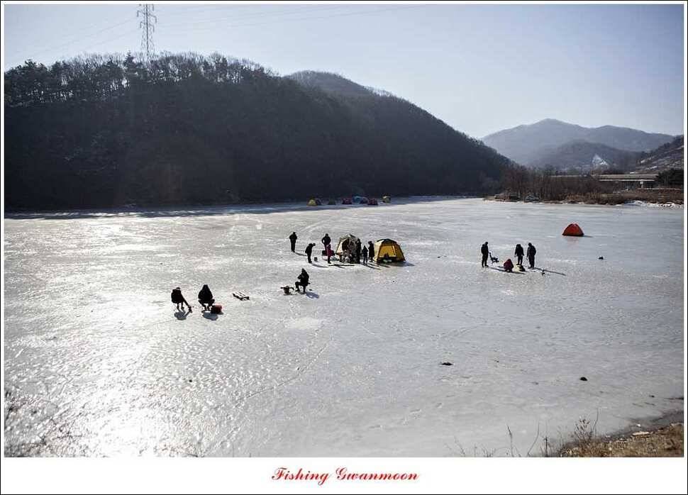 충주권빙어조황 (조황조행기 - 특파원조황)