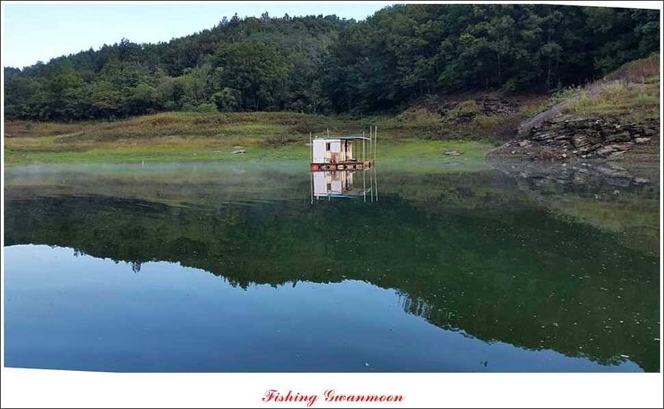 한버들 마릿수 월척윤병호 낚시터 조황 (조황조행기 - 특파원조황)